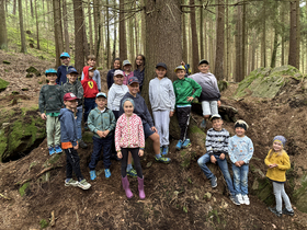 Wappen Marktgemeinde Waldhausen